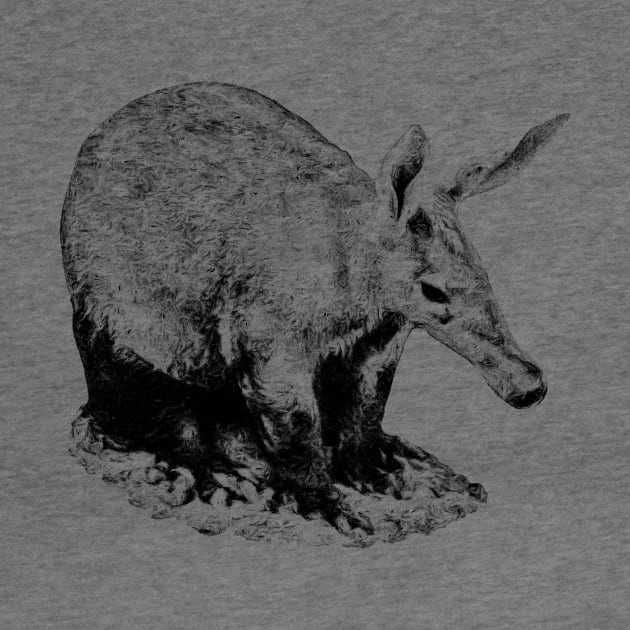 Aardvark by Guardi